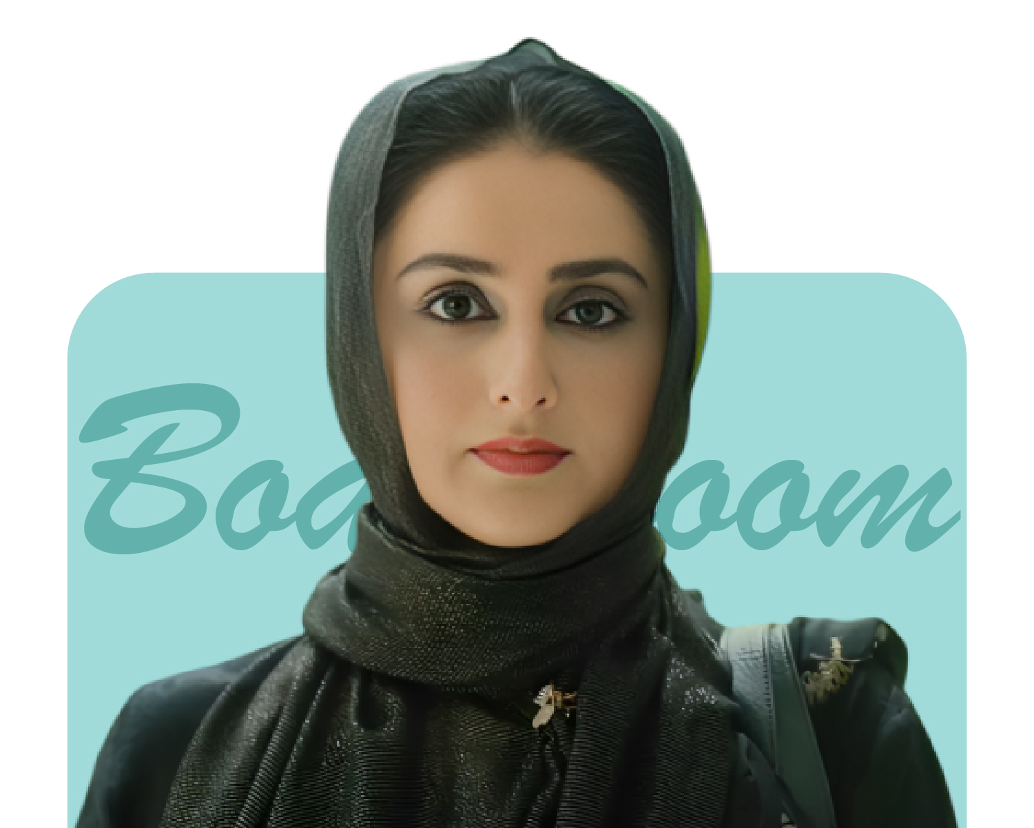 Designing Future Skies | Dr. Sarah Qureshi | Founder & CEO -Aero Engine Craft